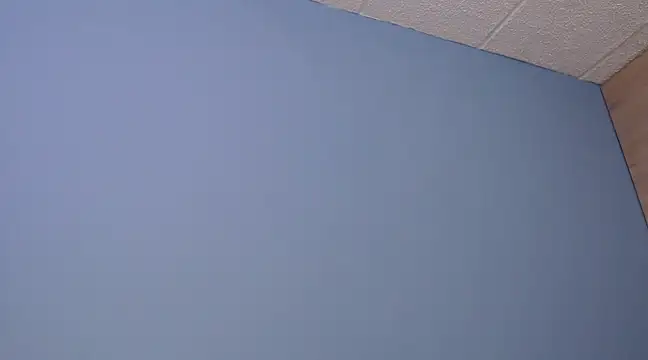 Snapshot of Lilly_macflyy chatting on 12/18/24, 08:03 Lilly macflyy online show from 12/18/24, 08:03