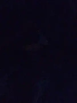 MrDickUdown24 7 online show from 02/23/25, 06:39