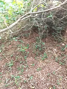 Snapshot of HathodaTyagi123 chatting on 12/08/24, 07:37 HathodaTyagi123 online show from 12/08/24, 07:37