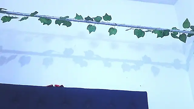 Snapshot of AliciaBasch chatting on 01/09/25, 02:01 AliciaBasch online show from 01/09/25, 02:01