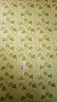 Anusri- online show from 02/13/25, 06:20