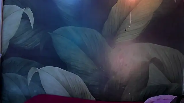 Snapshot of sweett_dirty chatting on 01/11/25, 12:18 sweett dirty online show from 01/11/25, 12:18