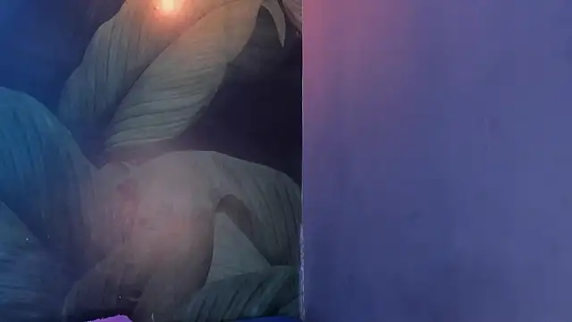Snapshot of sweett_dirty chatting on 02/01/25, 03:28 sweett dirty online show from 02/01/25, 03:28