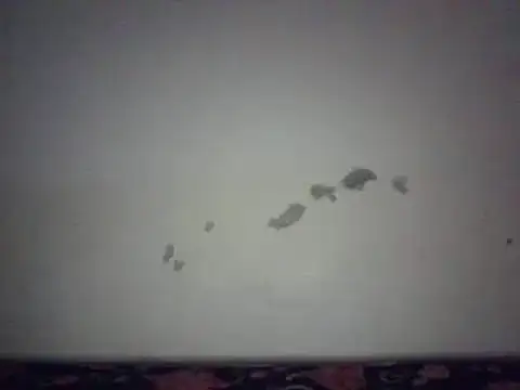 pritty-leila online show from 01/02/25, 02:46