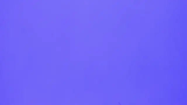 Snapshot of brenda_sofia2 chatting on 11/21/25, 03:11 brenda sofia2 online show from 11/21/25, 03:11