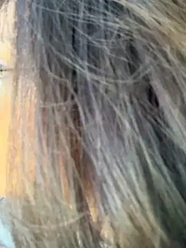 Snapshot of miacanela_xo chatting on 10/11/25, 10:08 miacanela xo online show from 10/11/25, 10:08