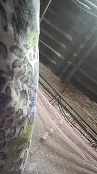 Snapshot of HotSexyBoudi chatting on 12/21/24, 09:01 HotSexyBoudi online show from 12/21/24, 09:01