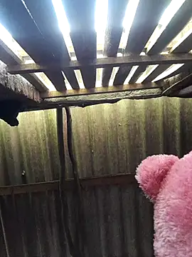 Snapshot of HotSexyBoudi chatting on 09/25/25, 08:51 HotSexyBoudi online show from 09/25/25, 08:51