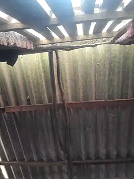 Snapshot of HotSexyBoudi chatting on 10/17/25, 10:07 HotSexyBoudi online show from 10/17/25, 10:07