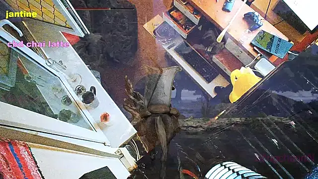 BongChannel online show from 03/09/25, 03:54