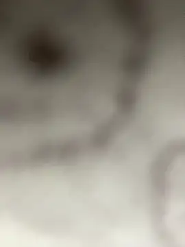 Leyna liu online show from 01/11/25, 03:13