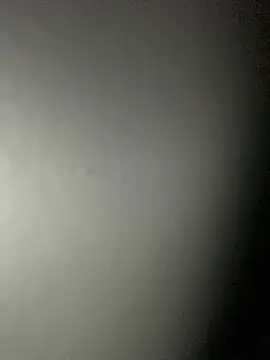 Leyna liu online show from 02/04/25, 08:46