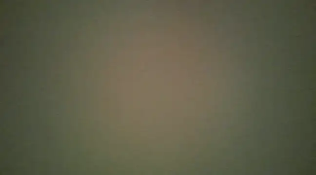 Snapshot of lovense_test04 chatting on 03/13/25, 08:37 lovense test04 online show from 03/13/25, 08:37