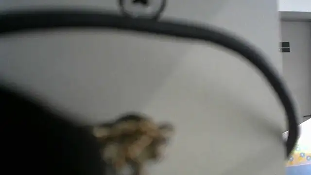 Snapshot of lovense_test04 chatting on 09/19/25, 02:46 lovense test04 online show from 09/19/25, 02:46