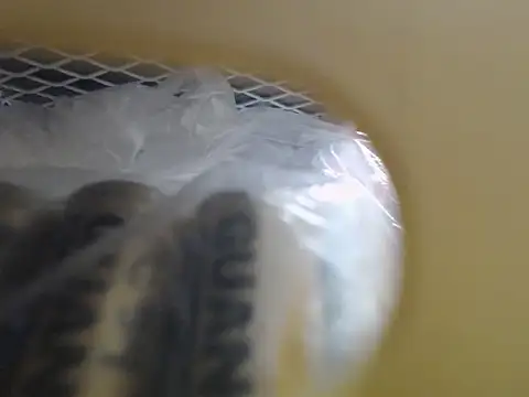 Snapshot of lovense_test04 chatting on 10/16/25, 03:51 lovense test04 online show from 10/16/25, 03:51