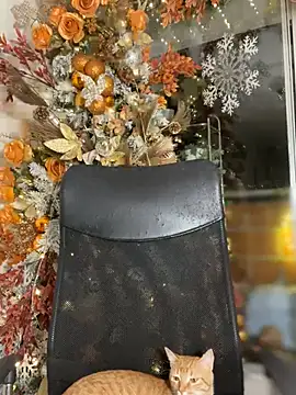 ValerieHilton online show from 12/10/24, 12:17