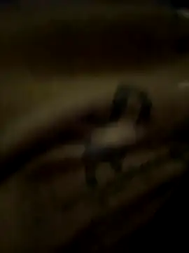 eveangelll online show from 10/21/25, 03:51