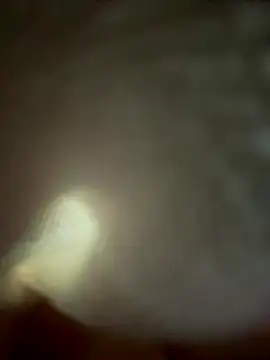 eveangelll online show from 11/04/25, 04:55