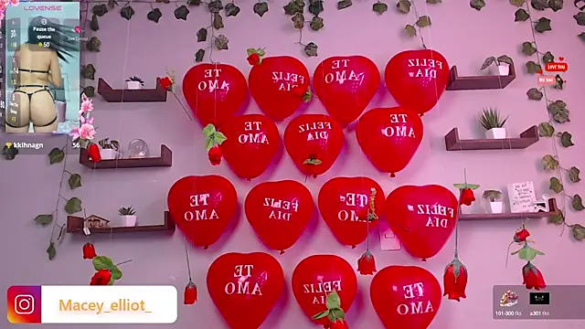 Snapshot of macey_elliot_ chatting on 02/15/25, 02:55 macey elliot online show from 02/15/25, 02:55
