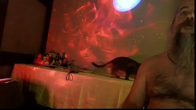 Snapshot of SexWorkerX chatting on 11/04/25, 11:59 SexWorkerX online show from 11/04/25, 11:59