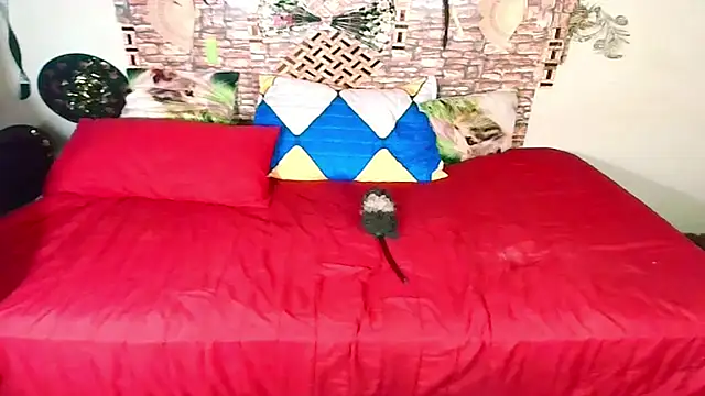 Snapshot of Indian_Blaze00 chatting on 10/17/25, 11:35 Indian Blaze00 online show from 10/17/25, 11:35