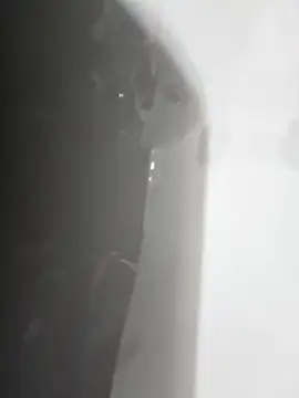 gordito xx online show from 02/22/25, 03:47