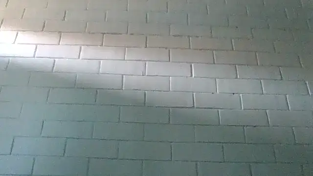 Snapshot of GiveLove1 chatting on 02/19/25, 09:36 GiveLove1 online show from 02/19/25, 09:36