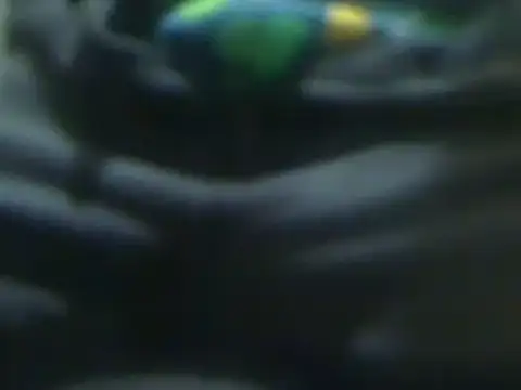 markluvskitty online show from 03/14/25, 01:24