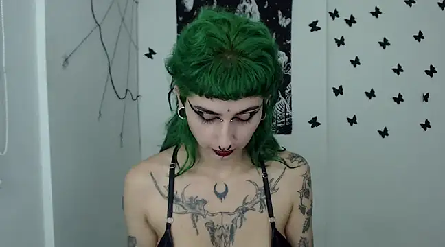 Snapshot of n0sferatus__ chatting on 12/15/24, 05:56 n0sferatus online show from 12/15/24, 05:56