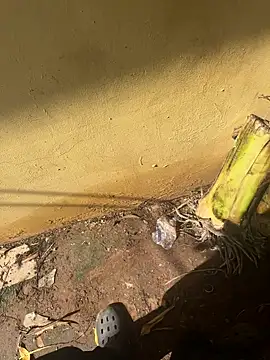 Black-mamba-madingo online show from 10/10/25, 02:16