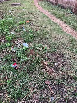 Black-mamba-madingo online show from 10/29/25, 05:14