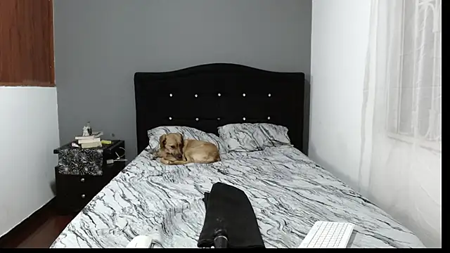 Snapshot of Emilia_1995 chatting on 01/21/25, 02:11 Emilia 1995 online show from 01/21/25, 02:11