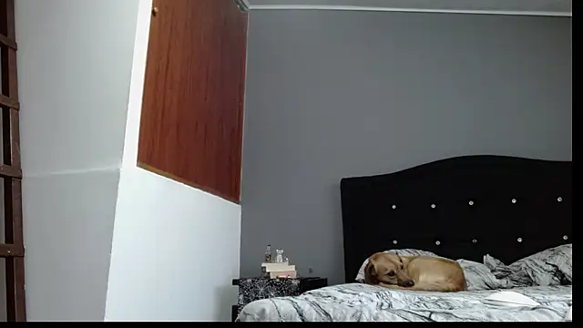 Snapshot of Emilia_1995 chatting on 01/30/25, 10:41 Emilia 1995 online show from 01/30/25, 10:41