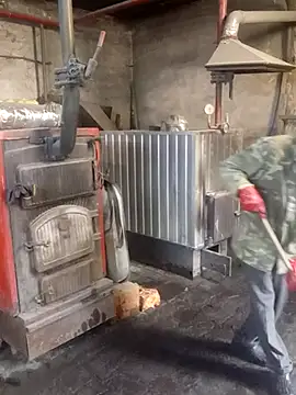 MityaXLoves online show from 10/31/25, 05:52