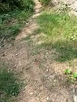 TamizhanKishwin7 online show from 11/09/25, 08:01