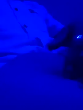 montereal1212 online show from 12/02/24, 03:04