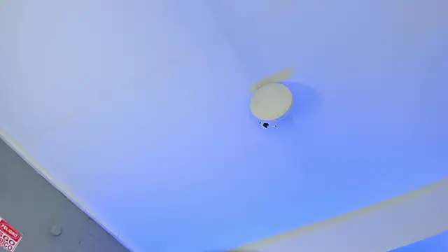 ArigyGomez online show from 11/14/25, 11:24