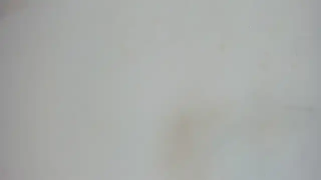 Snapshot of nami_sam01 chatting on 01/31/25, 11:56 nami sam01 online show from 01/31/25, 11:56