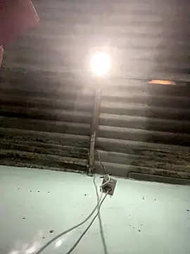 sasa123456  online show from 11/29/25, 02:53