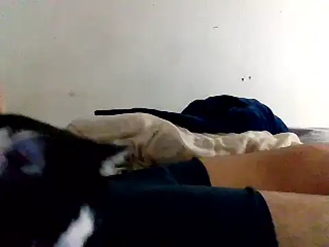 yass56789 online show from 11/15/25, 11:54