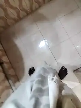 bas1cooks online show from 12/22/24, 05:34