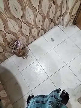 bas1cooks online show from 09/30/25, 03:22