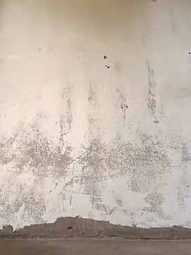 Snapshot of Yasha_14C_Creator chatting on 11/08/25, 07:19 Yasha 14C Creator online show from 11/08/25, 07:19