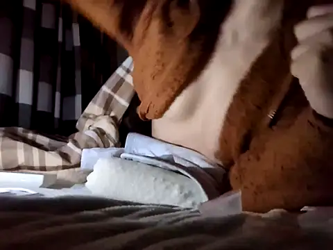 pnp0Japan online show from 01/11/25, 07:59