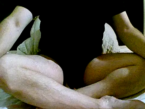 pollarikaaa online show from 12/02/24, 04:42