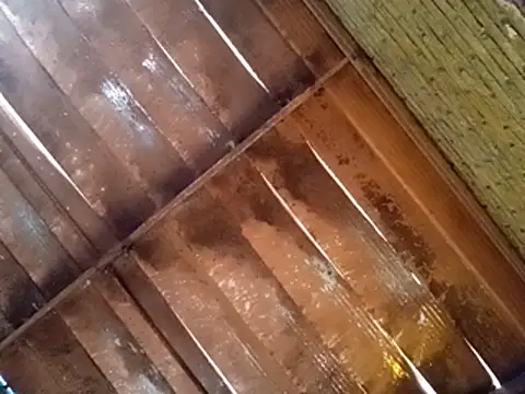 Snapshot of Pablunt-rap chatting on 11/14/25, 02:16 Pablunt-rap online show from 11/14/25, 02:16