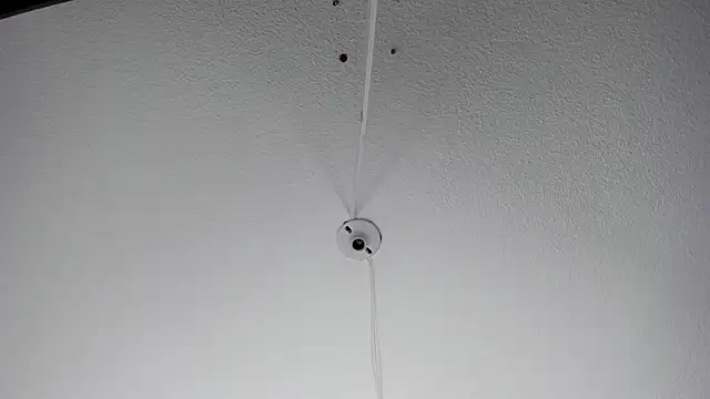 MelissaKarterrs online show from 01/20/25, 11:56