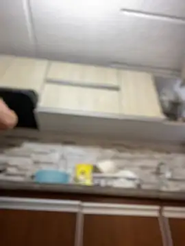 Salome golvert online show from 03/02/25, 04:53