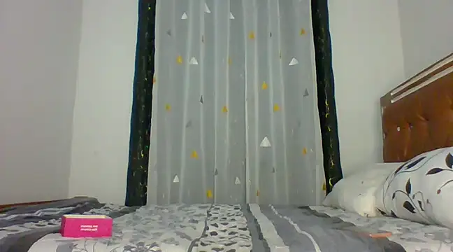 Snapshot of Toxique_ chatting on 12/27/24, 02:54 Toxique online show from 12/27/24, 02:54