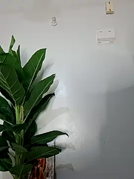 korah01 online show from 11/14/25, 02:54